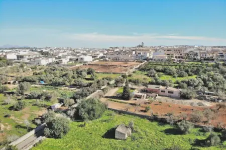 380413, Chalet à Muro avec piscine - Photo 15