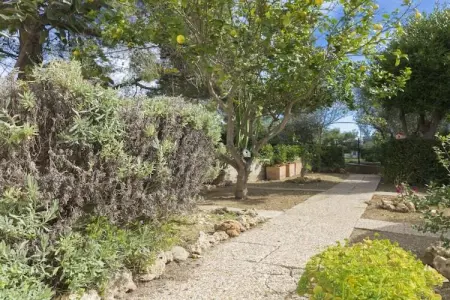 Chalet 6 pers. à 100 m de la mer, Alcudia : photo 2