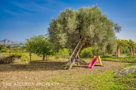 Gîte 9 personnes avec piscine à Alcúdia : photo 7