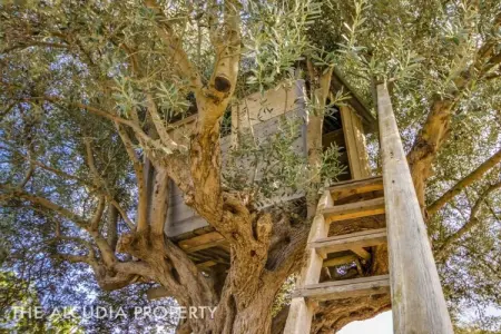 Gîte 9 personnes avec piscine à Alcúdia : photo 8