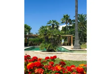 497937, Villa à Cala Muarad avec piscine - Photo 13