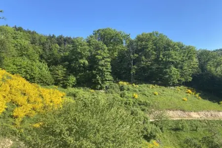 Gîte 14 pers. avec sauna, piscine et jacuzzi : photo 10