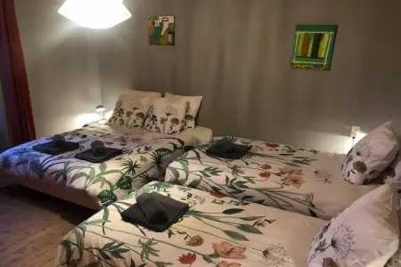 Maison 15 pers. à Trevignin, suite parentale et espace fitness : photo 24