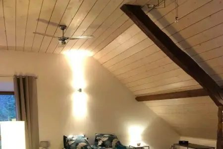 Maison 15 pers. à Trevignin, suite parentale et espace fitness : photo 42