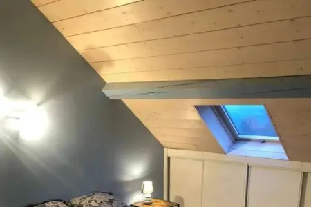 Maison 15 pers. à Trevignin, suite parentale et espace fitness : photo 48