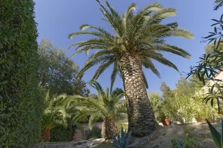 Villa 6 personnes aux Issambres, vue mer et piscine : photo 4