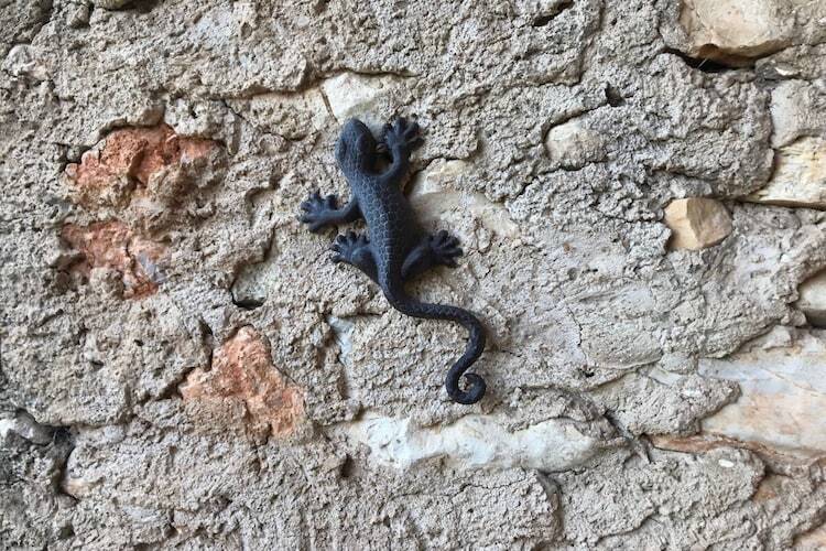 Mon rêve - Maison provençale 6 pers. à Régusse - Photo 6