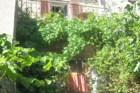 Mon rêve - Maison provençale 6 pers. à Régusse
