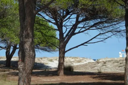 Maison à Budoni avec vue mer et jardin, 6 km plage : photo 23
