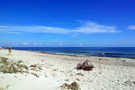 Maison à Budoni avec vue mer et jardin, 6 km plage : photo 26