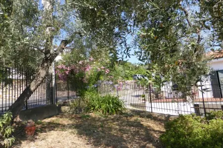 Maison 5 pers. à Santa Agata, terrasse, jardin aux oliviers : photo 2