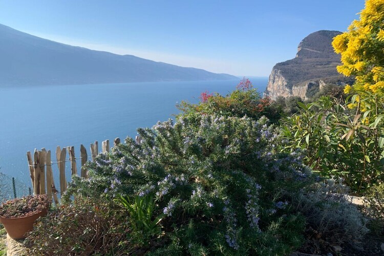 Gîte avec piscine et 40 oliviers, vue lac à Tremosine - Photo 14