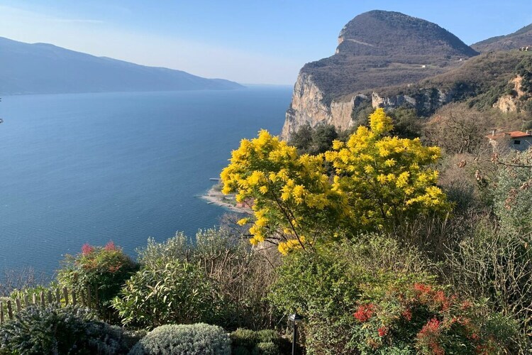 Gîte avec piscine et 40 oliviers, vue lac à Tremosine - Photo 15