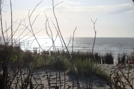 Maison 6 pers. à Bredene avec jardin clôturé : photo 19