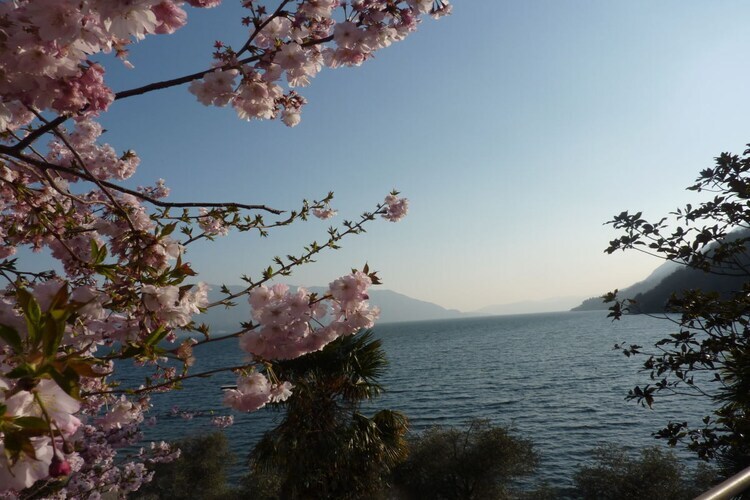 Appartement Gallo à 100m de la plage, Cannobio - Photo 22
