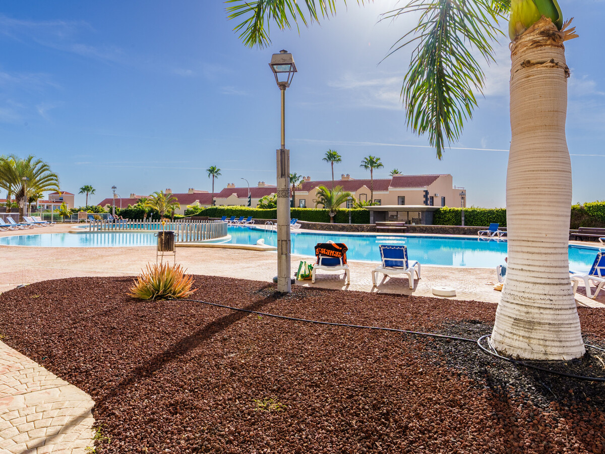 Studio avec terrasse privée à San Miguel de Abona - Photo 5