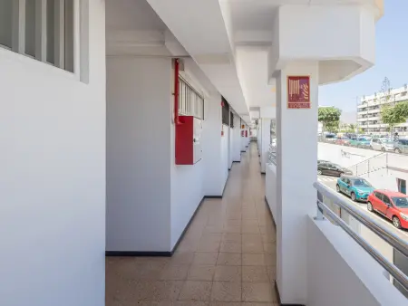 Maison Maspalomas avec piscine, animaux acceptés : photo 27