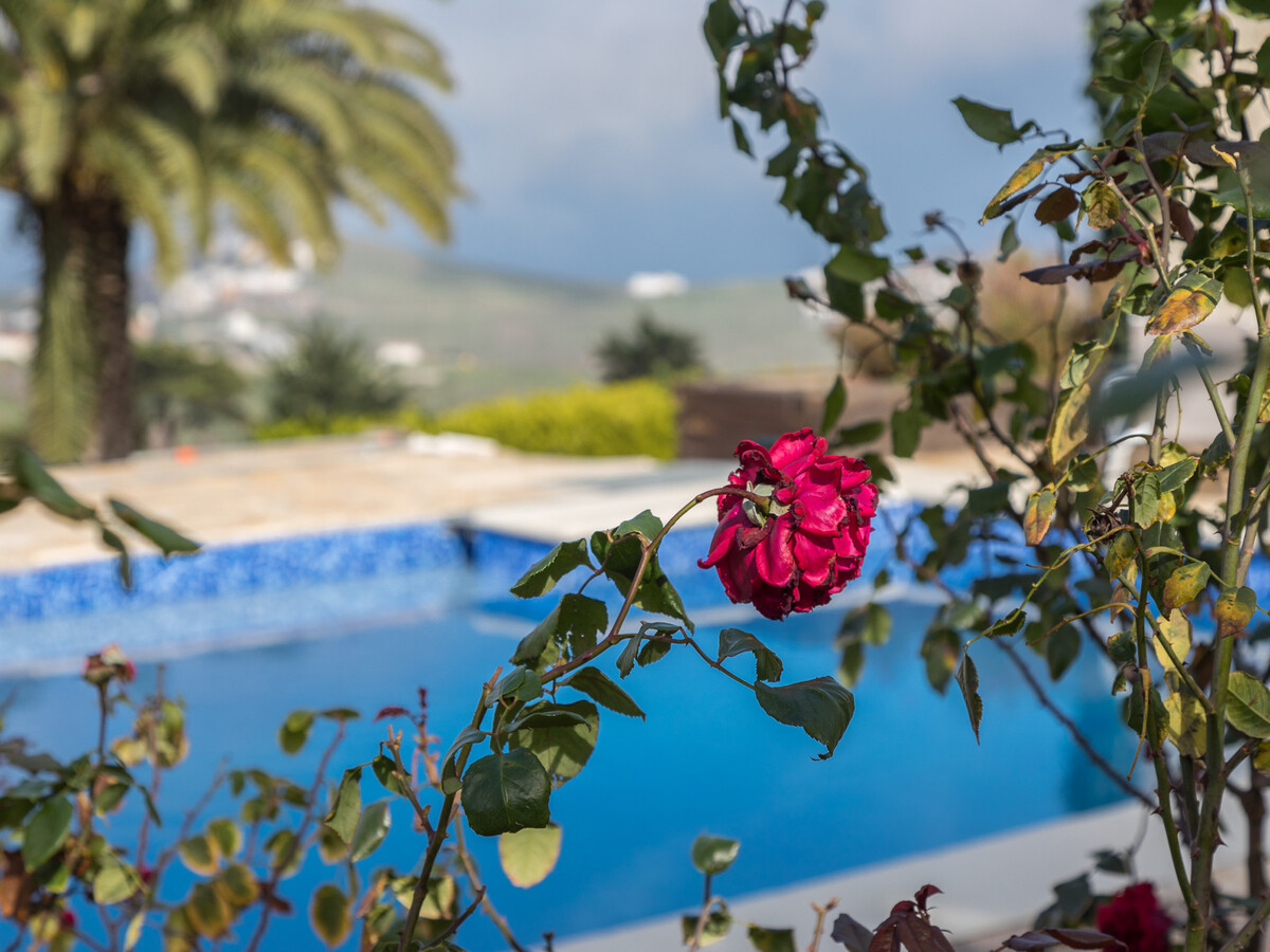 Gîte avec piscine privée à Santa María de Guía - Photo 11