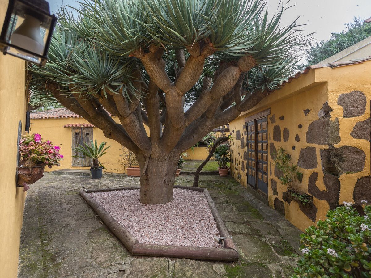 Gîte avec piscine privée à Santa María de Guía - Photo 28