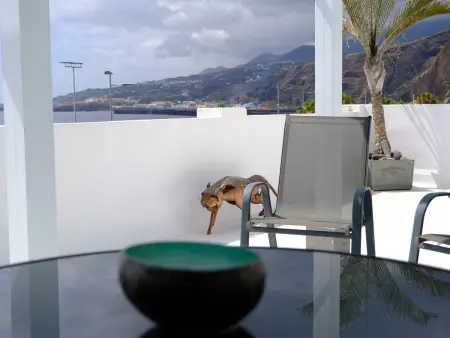 Maison 3 chambres avec terrasse panoramique à Santa Cruz : photo 11