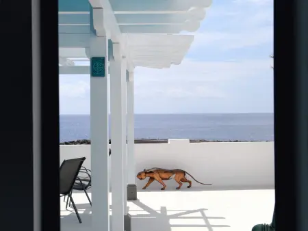 Maison 3 chambres avec terrasse panoramique à Santa Cruz : photo 12