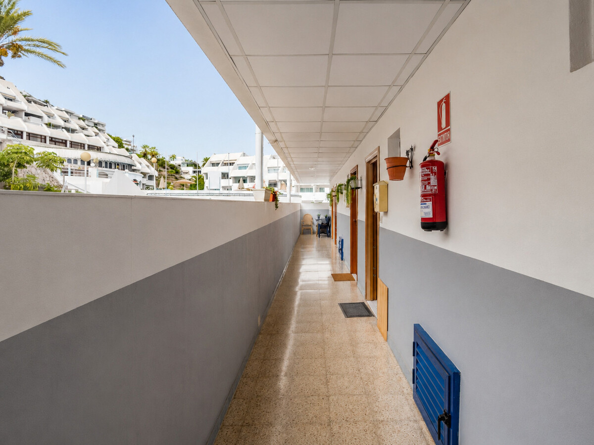 Maison 3 pers., Puerto Rico - plage à 15 min - Photo 15