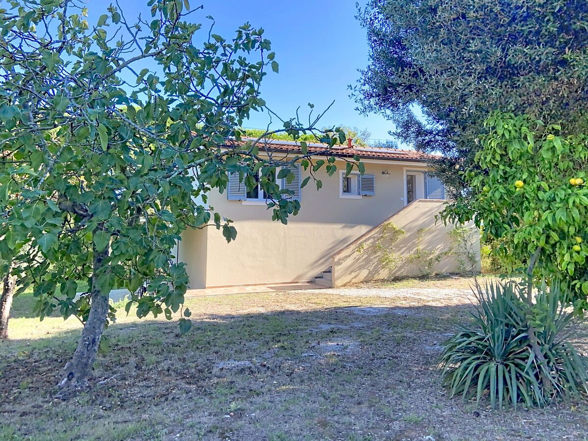 Linaglia, maison rénovée 2 pers. à Cecina - Photo 1