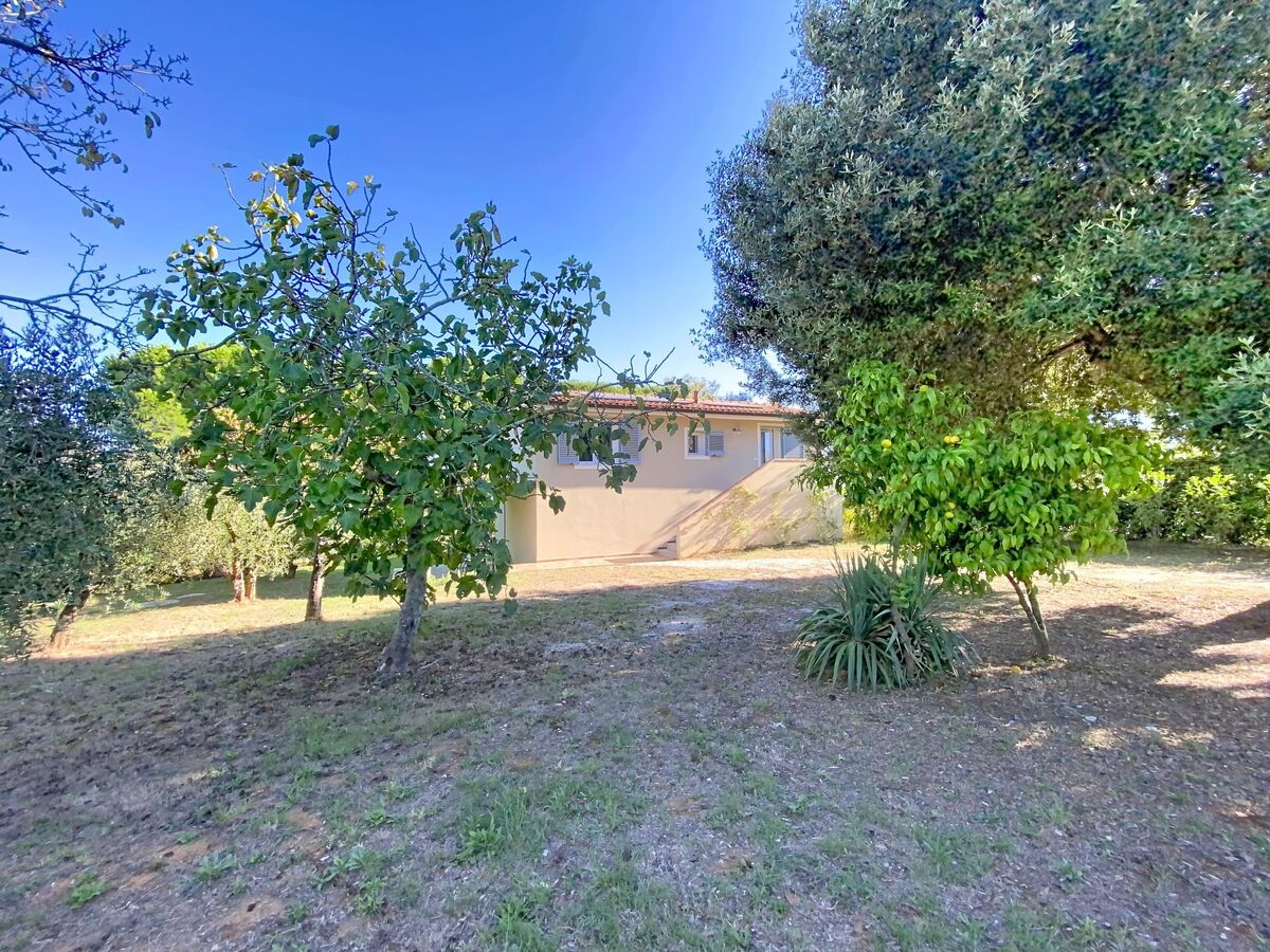 Linaglia, maison rénovée 2 pers. à Cecina - Photo 27