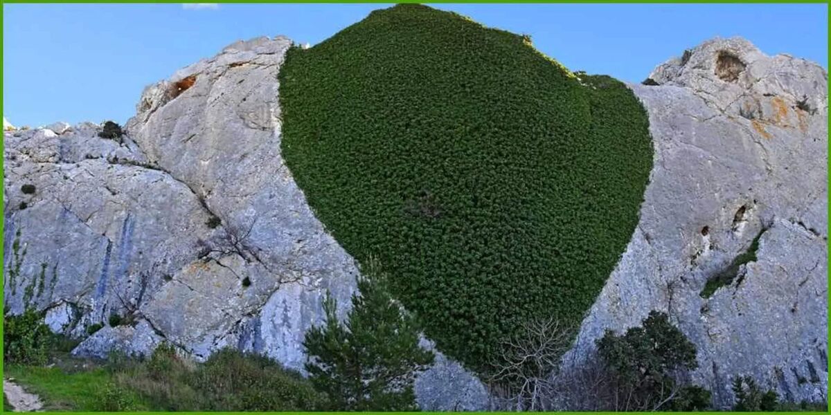 Cocon des Alpilles — Maison 2 pers. piscine - Photo 15