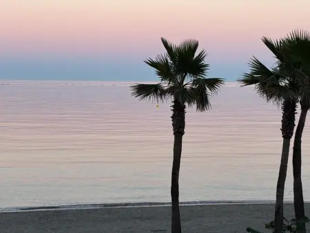 Appartement 2 chambres, première ligne, vue mer à Torremolinos : photo 21