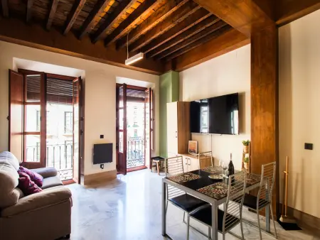Appartement 60m² balcon Plaza Nueva, Granada : photo 8