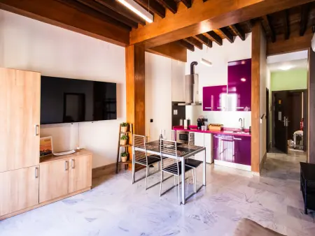 Appartement 60m² balcon Plaza Nueva, Granada : photo 21