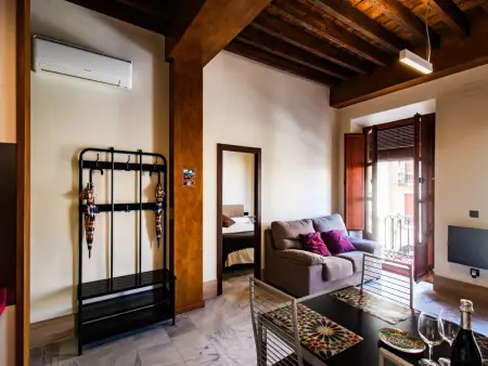 Appartement 60m² balcon Plaza Nueva, Granada : photo 22