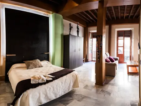 Studio 60 m² centre Granada, 3 balcons et clim : photo 2