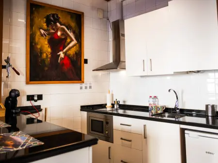 Studio 60 m² centre Granada, 3 balcons et clim : photo 3