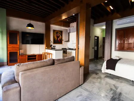 Studio 60 m² centre Granada, 3 balcons et clim : photo 4
