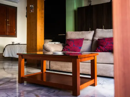 Studio 60 m² centre Granada, 3 balcons et clim : photo 6