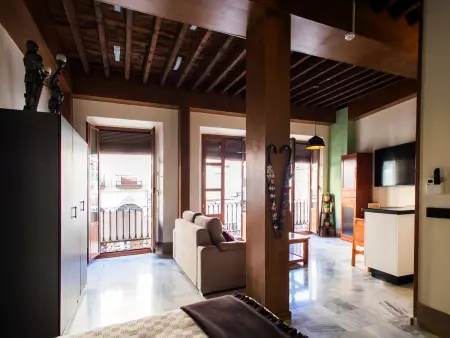 Studio 60 m² centre Granada, 3 balcons et clim : photo 9