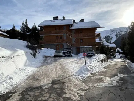 Appart 3 pièces calme Méribel, 500m pistes : photo 21