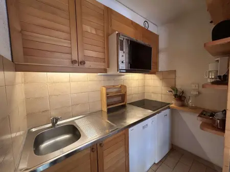 Appartement 2 pièces à 40m des pistes, animaux OK : photo 3