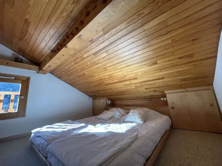 Appartement 2 pièces à 40m des pistes, animaux OK : photo 6
