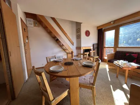 Appartement 2 pièces à 40m des pistes, animaux OK : photo 8
