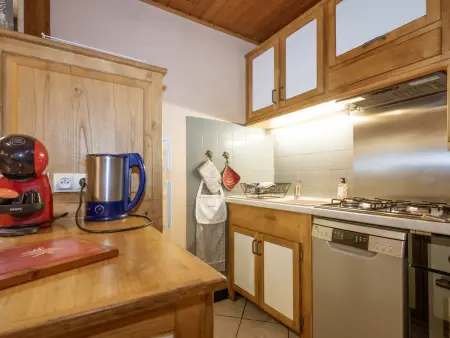Appartement 10 pers. animaux OK - Valloire : photo 7