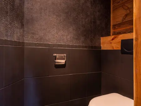 Appartement 3 chambres vue montagne sud à Avoriaz : photo 11