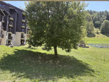 Appartement 2 pièces vue forêt - 5 pers. à Montchavin : photo 7