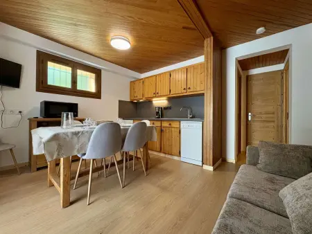 Appartement 3 pièces rénové, 6 pers, accès pistes ski : photo 7