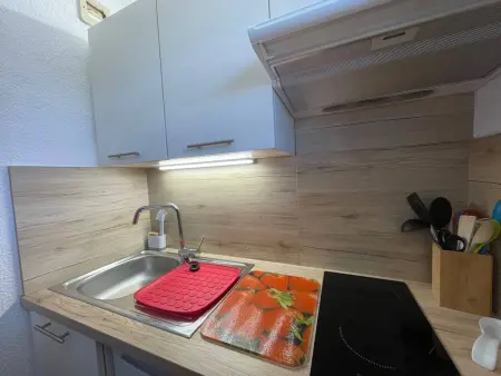Studio 23m² Valmorel, animaux OK, vue station : photo 10