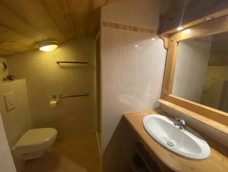 Appartement Crève Cœur, skis aux pieds à Valmorel : photo 9