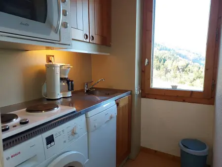Appartement 27m² accès direct piste - Valmorel : photo 8