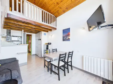 Studio mezzanine 41 m² vue vallée - 50 m des remontées : photo 3